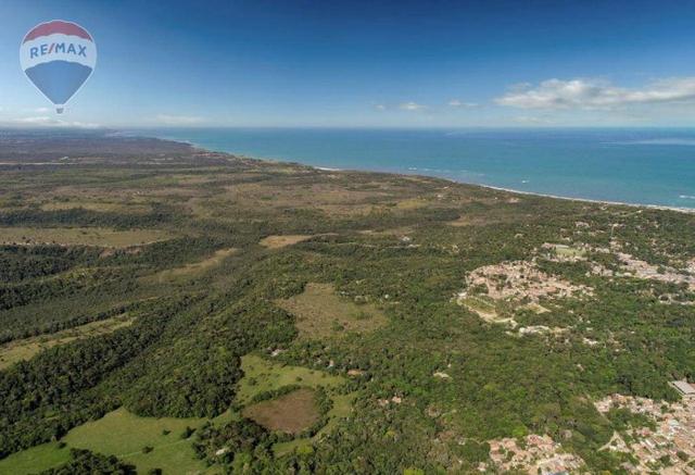 Terreno à venda em trancoso-ba - Foto 10