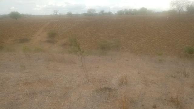 Ótima propriedade de 120 hectares, 70% plana, em Gravatá-PE. Por apenas R$ 780 mil! - Foto 7
