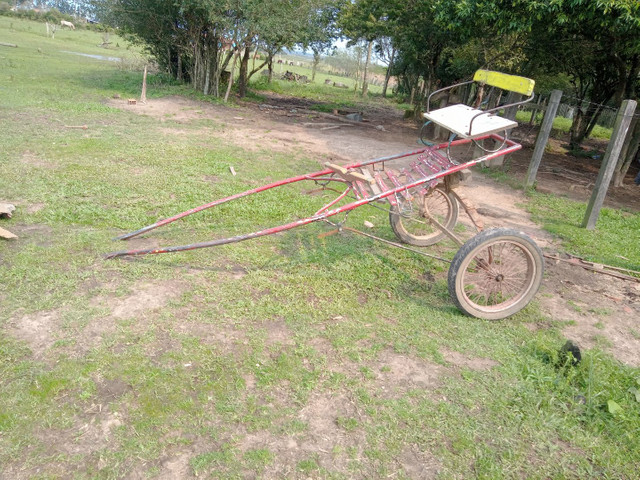 Charrete reforçada - Foto 3
