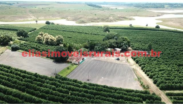 Fazenda de café - 110.000 pés - Patrocínio - MG - Foto 5