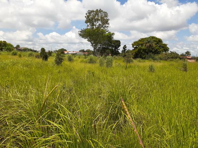 Vendo área na Chácara São Pedro com 9.036,00 m2 - Foto 5