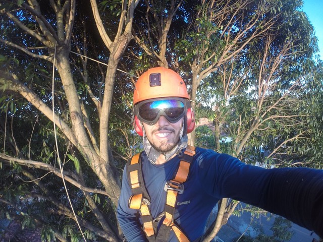 Trabalhamos com poda de árvores limpeza de terrenos e remoção de resíduos 