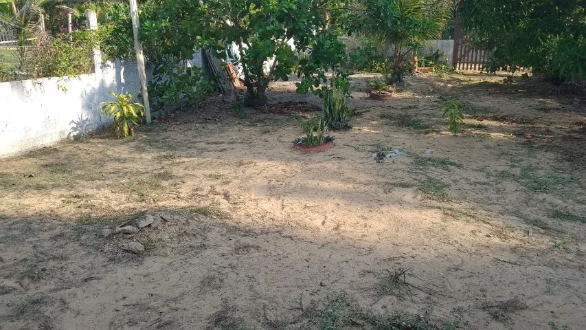 Venda Chácara Ebenezer - Foto 5