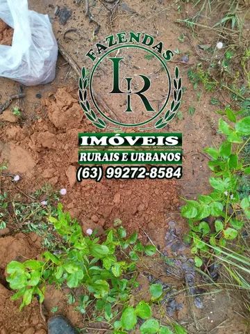 Fazenda 180 Alqueires Dupla Aptidão Tocantins - Foto 2