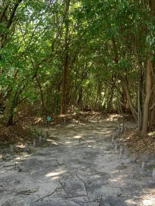 Valor de Super OPORTUNIDADE! Terreno 15x 30 para VENDA - Altiplano Nobre - Joao Pessoa - P - Foto 5