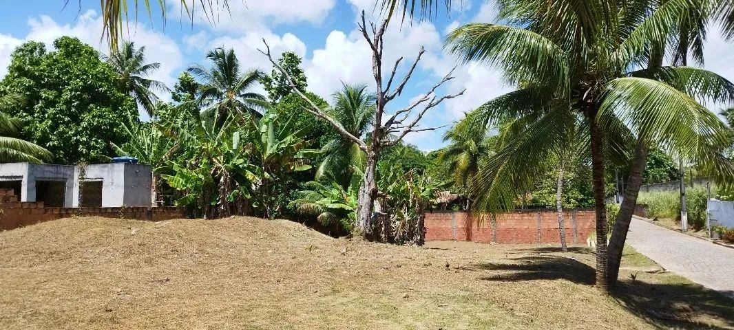 Lote 1.440m no Águas Finas em Lauro