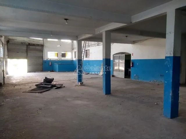 barracão - Parque São Quirino - Campinas - Foto 3