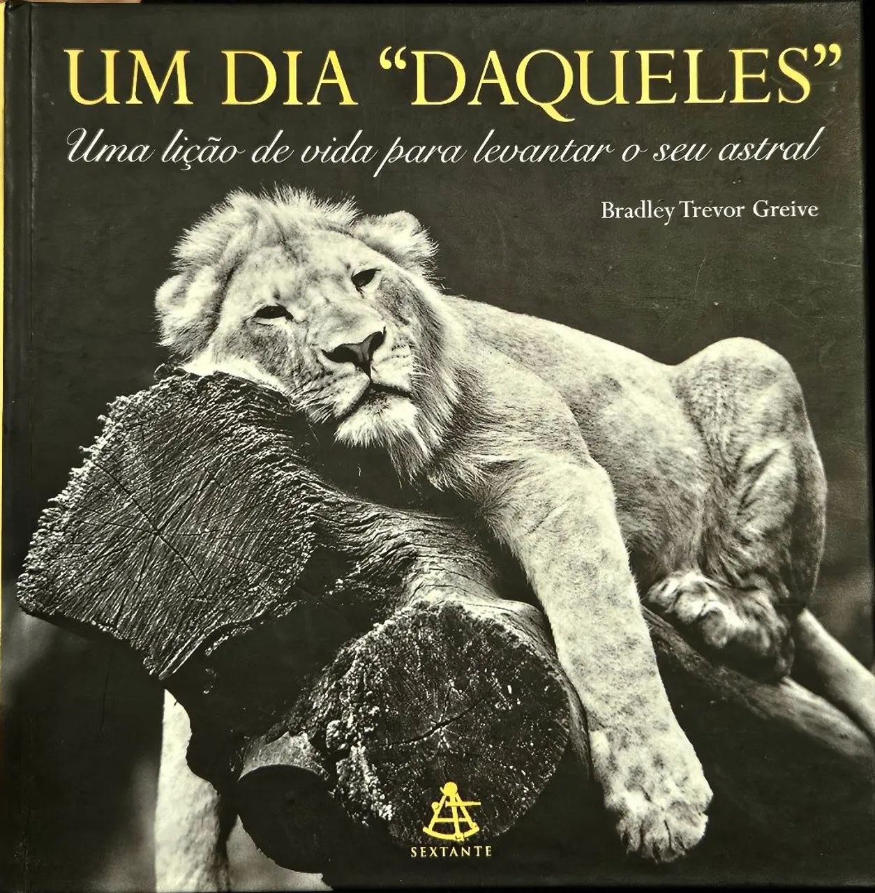 Livro: Um Dia "Daqueles" - Bradley Trevor Greive