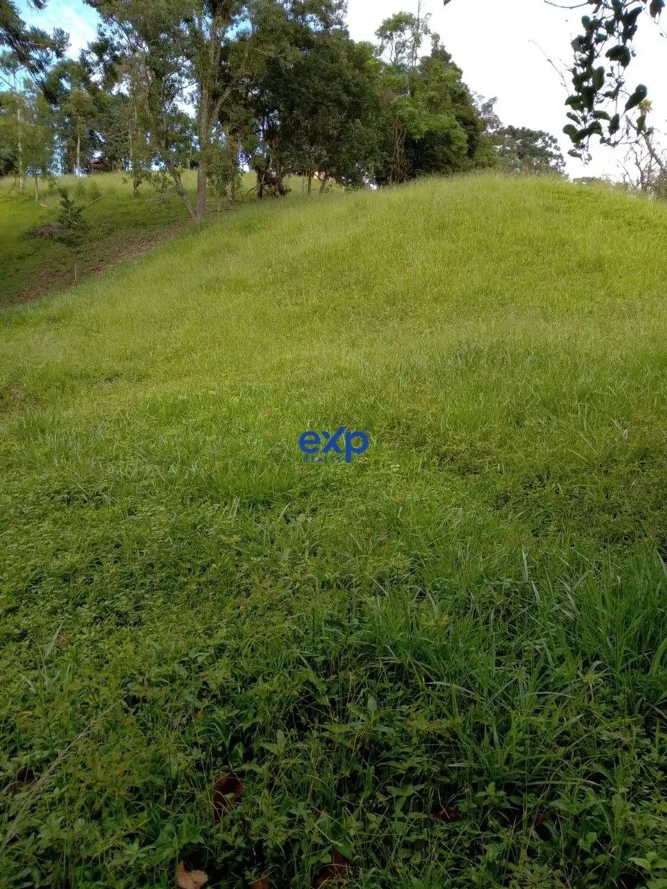 Terreno 60.000m² em Visconde de Mauá Resende RJ - Foto 4