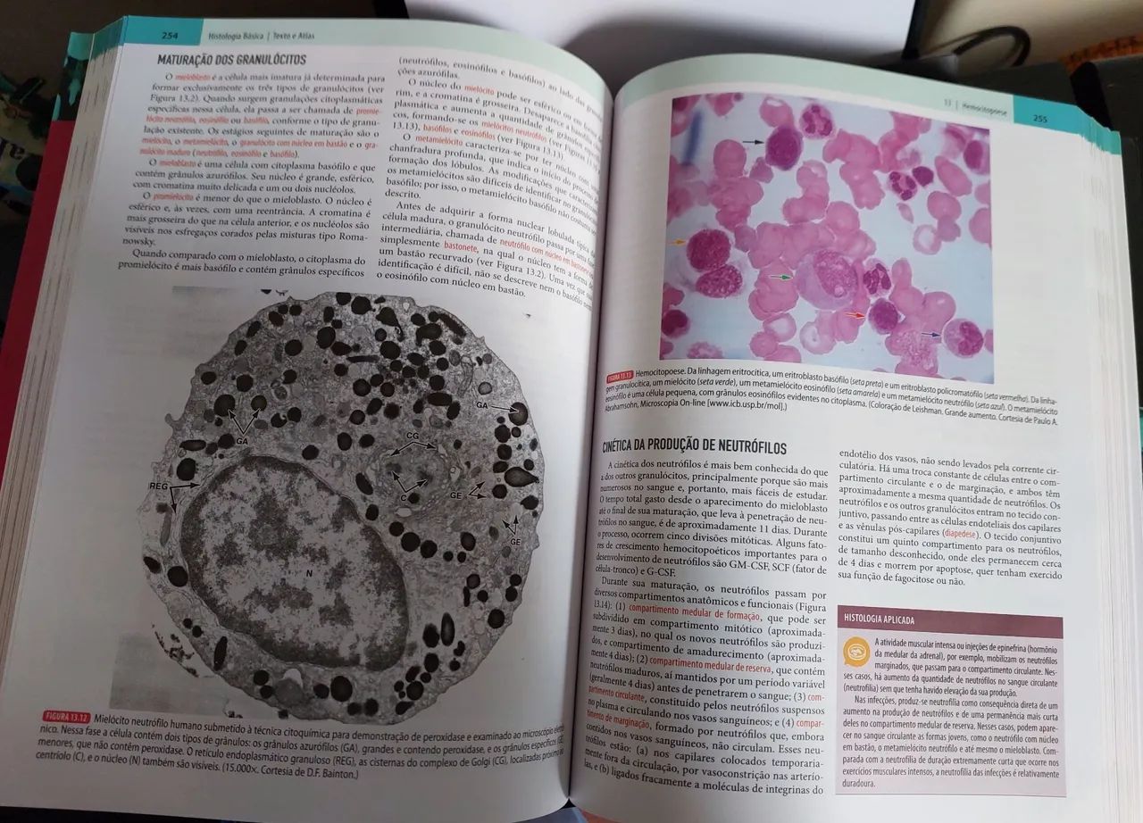 Combo livros - Anatomia clínica + Histologia básica  - Foto 5