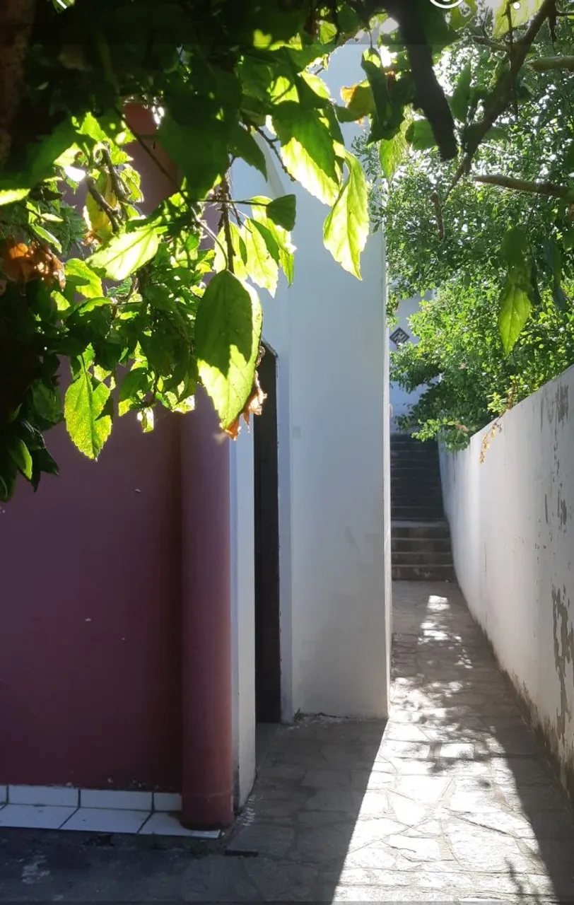 Alugo no Seixas