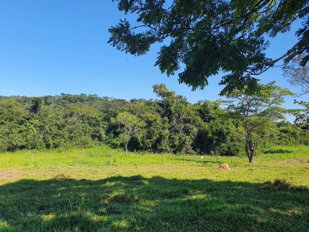 Vendo Terrenos às Margens do Rio Pará Financiamento Próprio Mensais de 1.245 - Foto 2