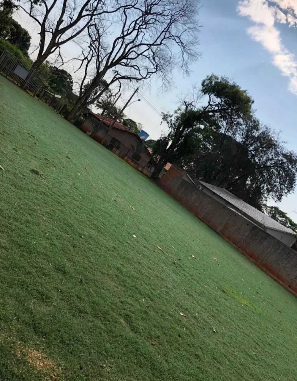 Gramas a partir de 6,99 ó m2 já plantado! - Foto 3