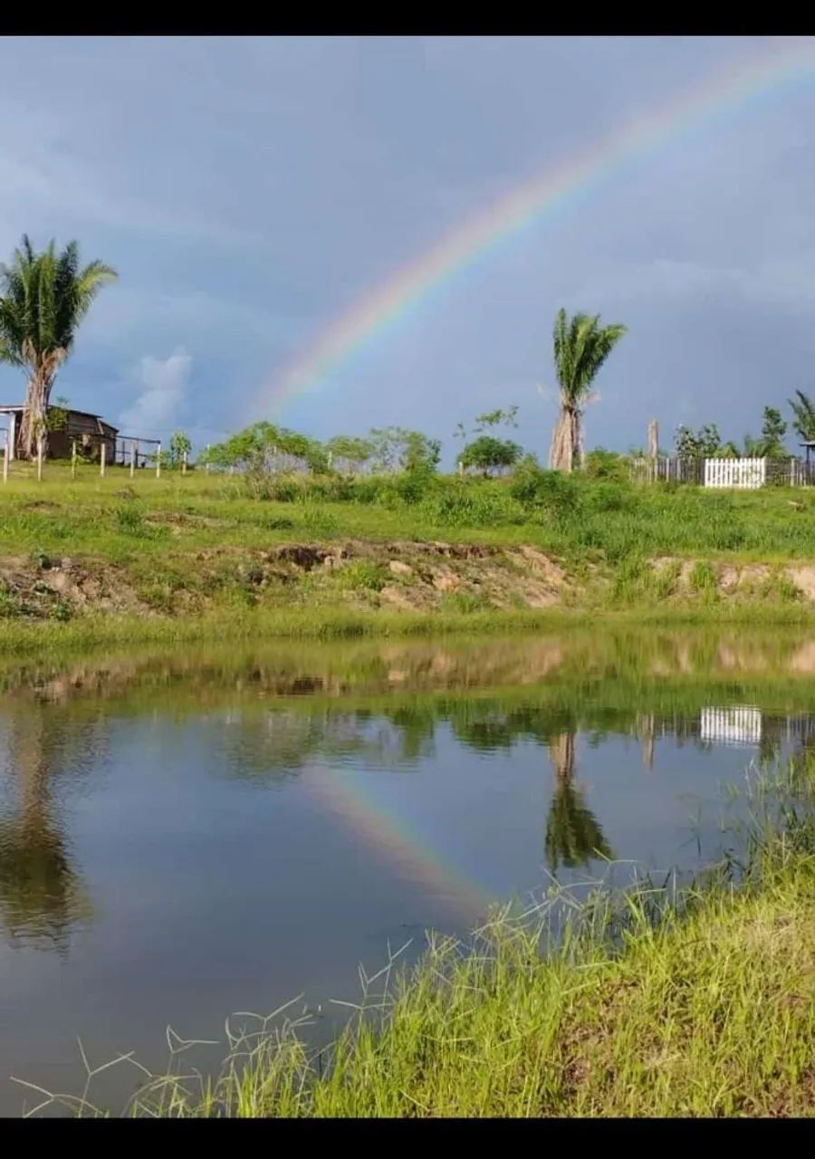 Vendo ou troco Chácara 1 hectare Estrada do Quixadá  - Foto 4