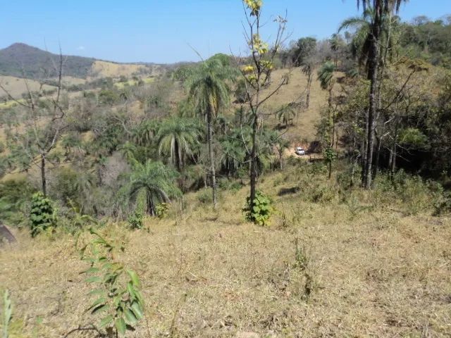 Mateus Leme  - 58.800 m² - Financiado -  R$ 100.000,00 entrada - Foto 5