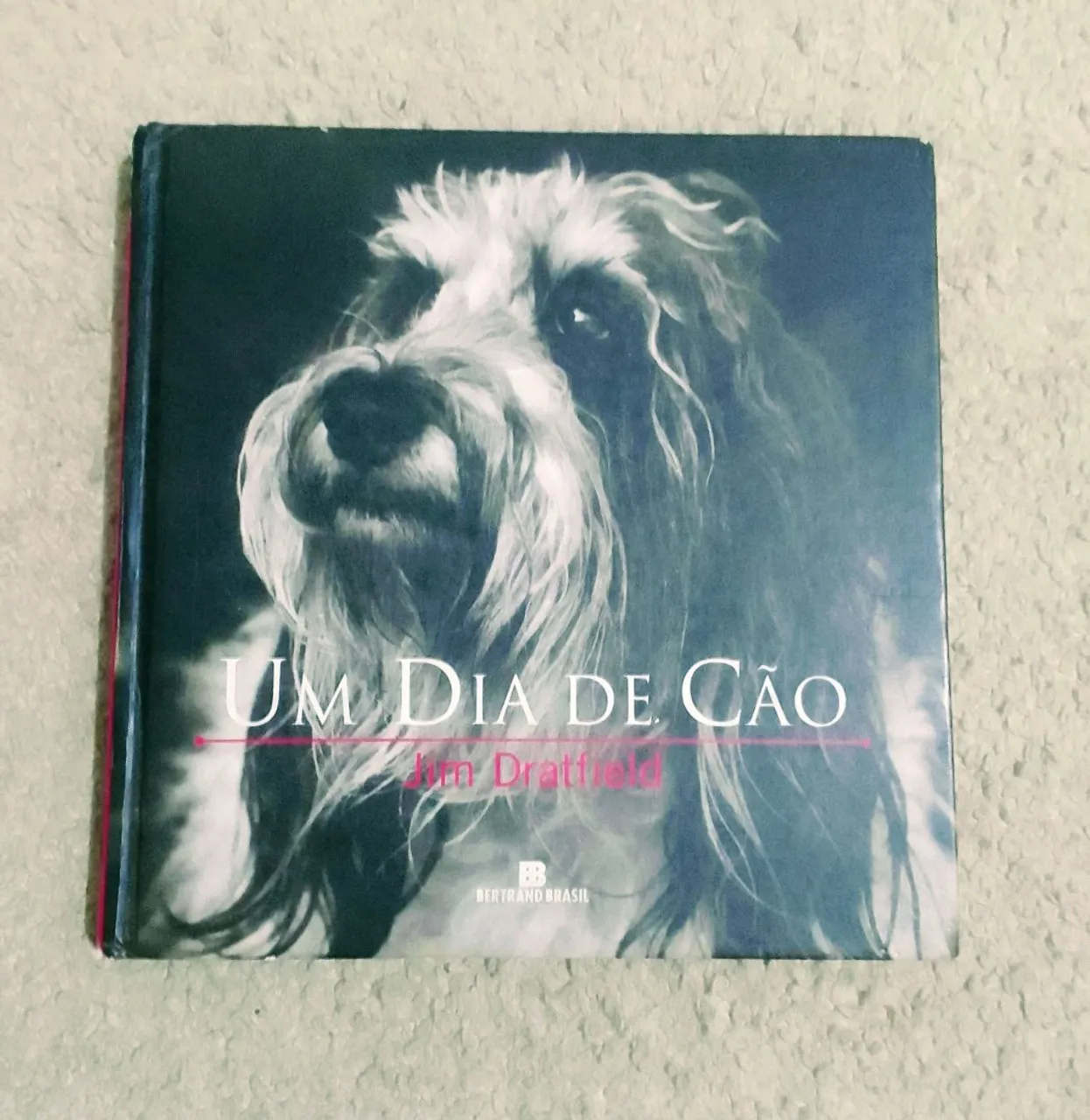 Um Dia de Cão - Livro capa dura