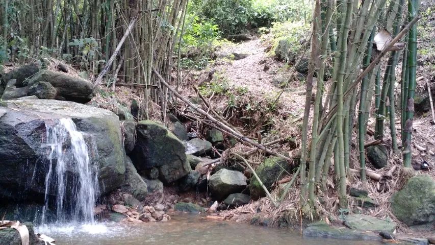 TERRENO COM FANTÁSTICA VISTA EM MULUNGU - SERRA DE GUARAMIRANGA