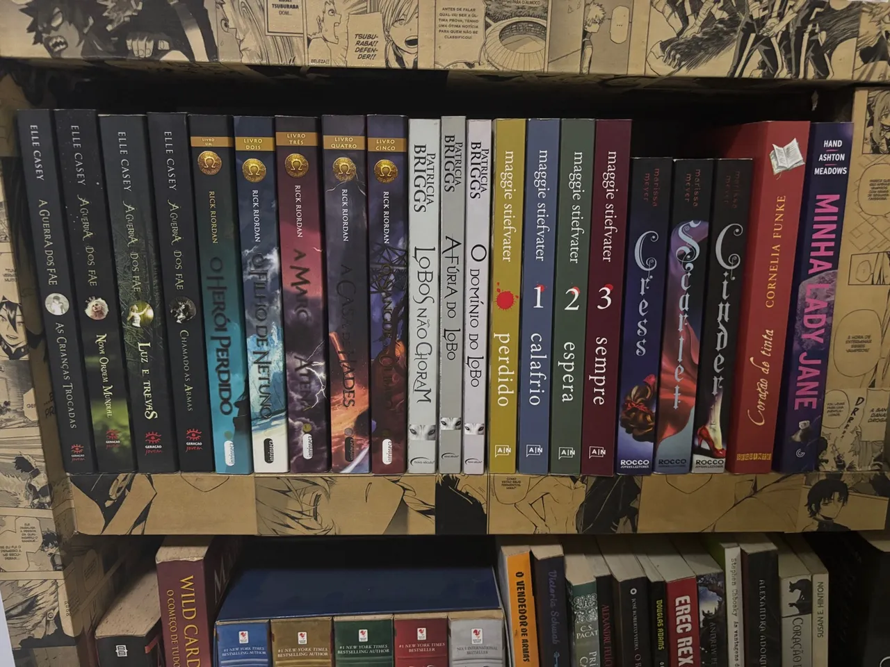 livros diversos