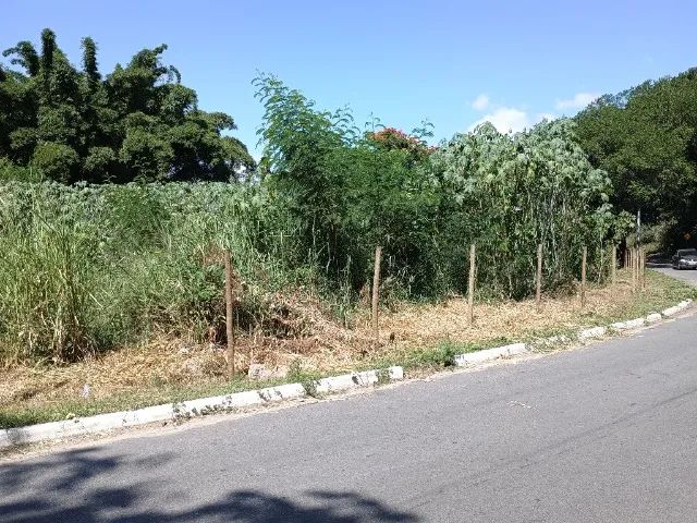 Vendo Lotes em Quatis - Pilotos  - Foto 4