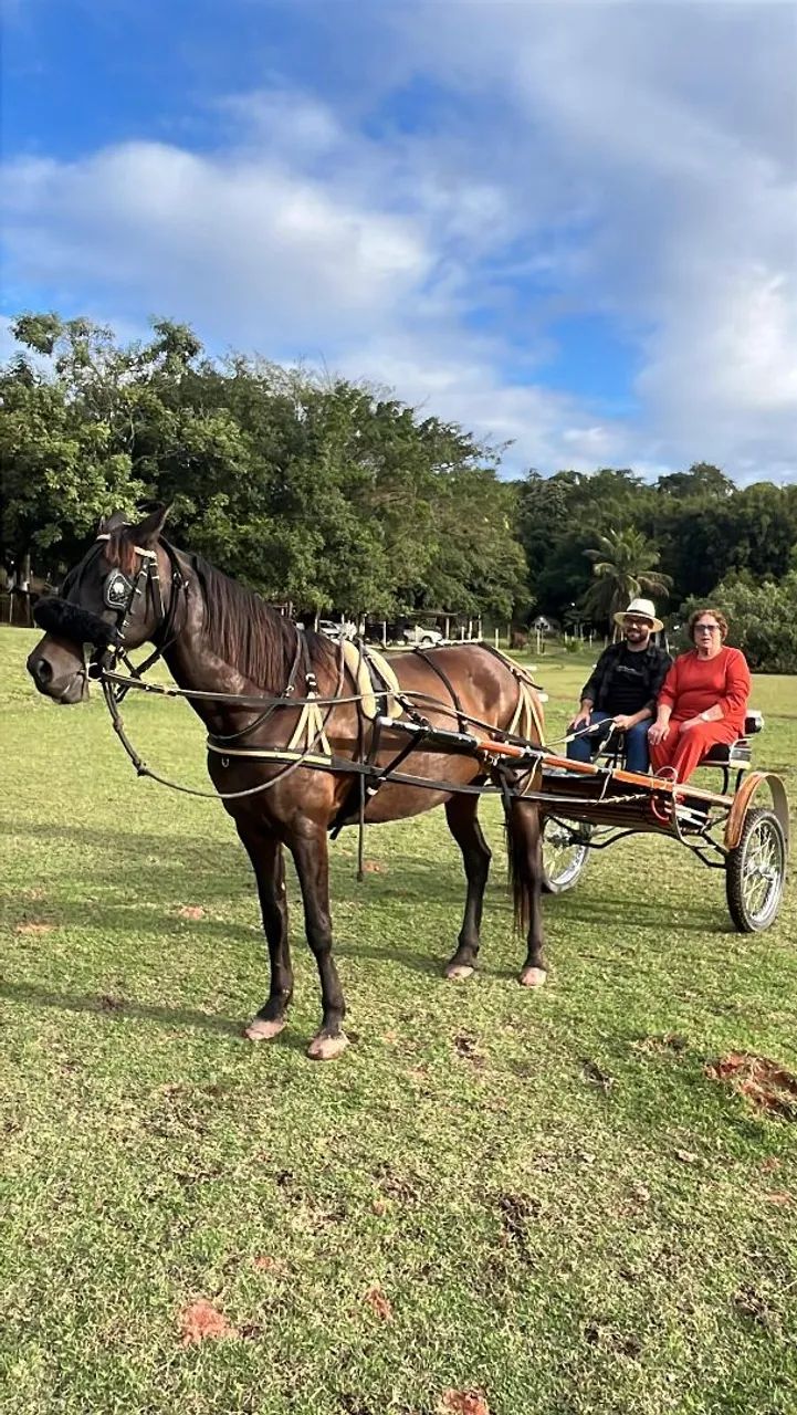Charrete mais linda do ES - Foto 6
