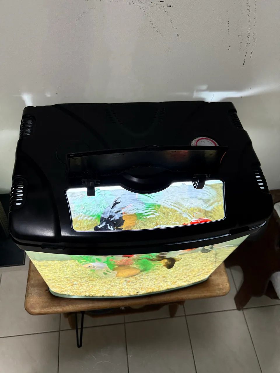 Vendo aquário completo 