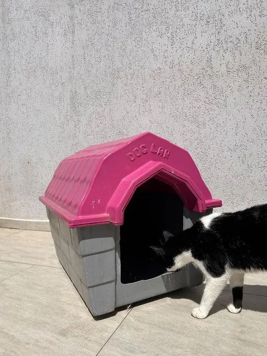 Casinha para cachorro