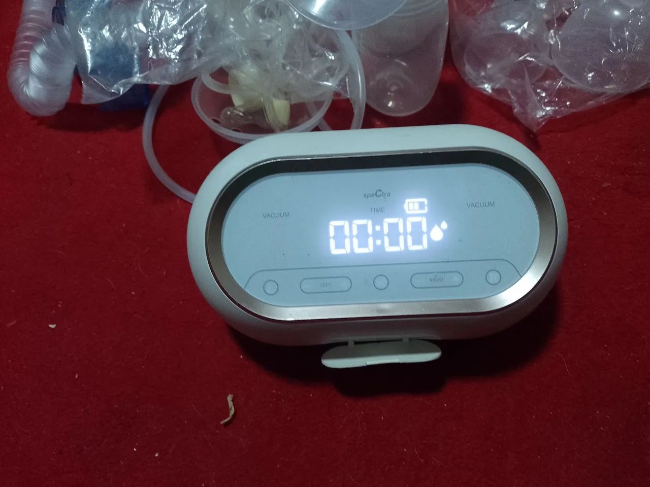 Ordenia umana  - Foto 3