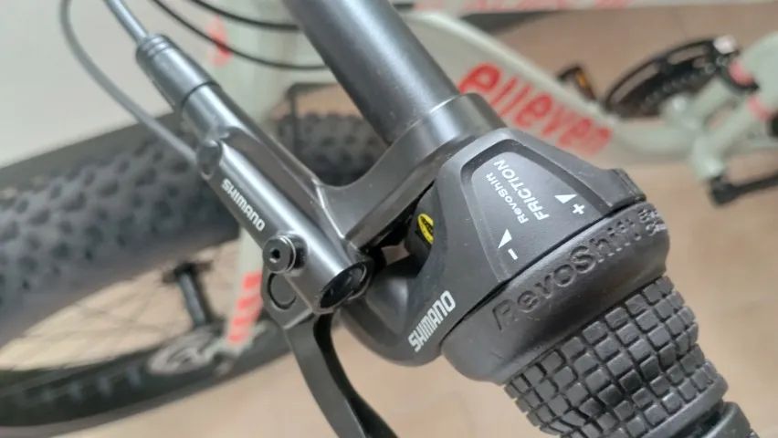 Fat Bike (bicicleta)  - Foto 2