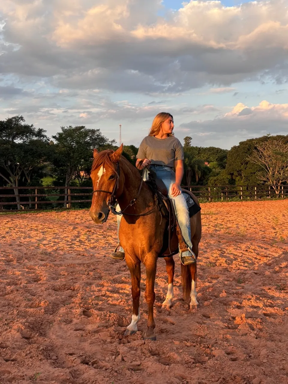 Cavalo para Passeios e Lazer