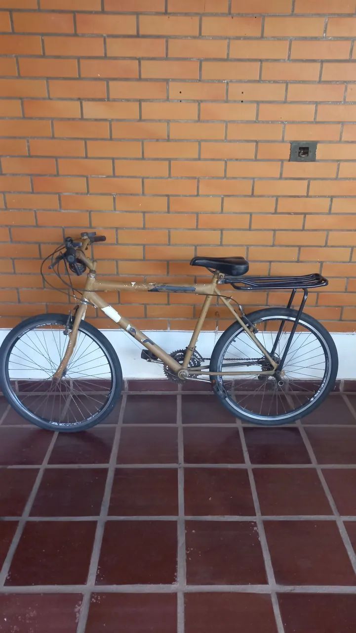 Bicicleta de Passeio