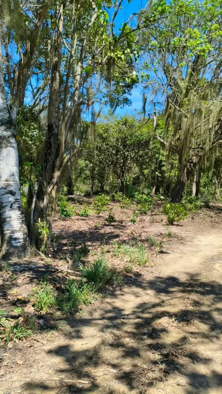 Vende-se terreno - Foto 4