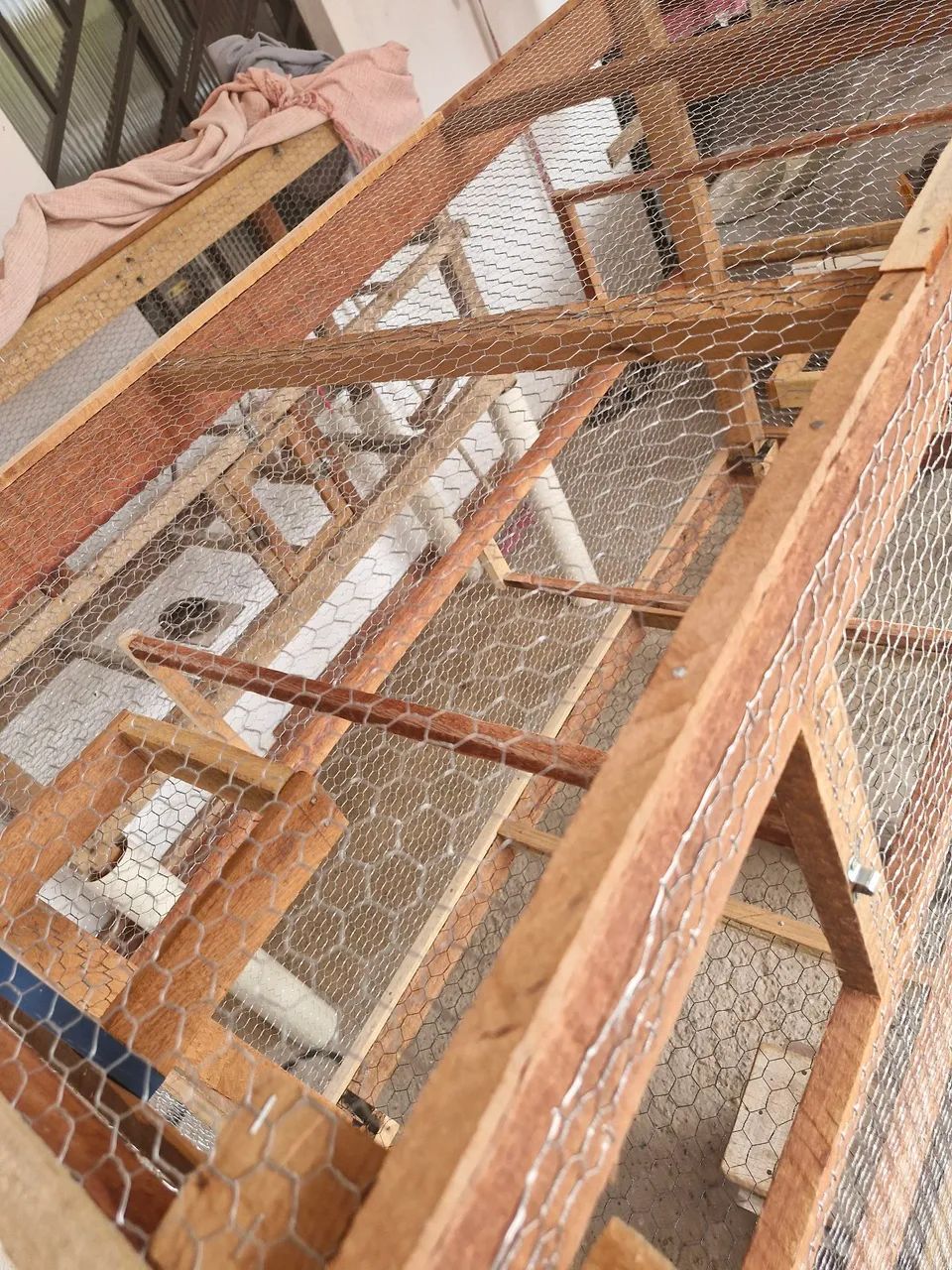 Viveiro pinteiro - Foto 3