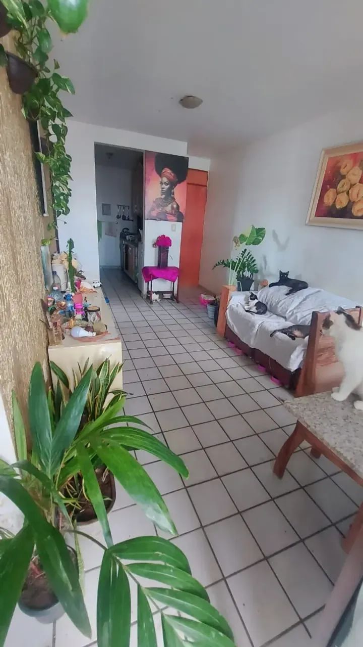 VENDO APTO com 80m² e 03 Quartos em Tambiá - João Pessoa - PB - Foto 2