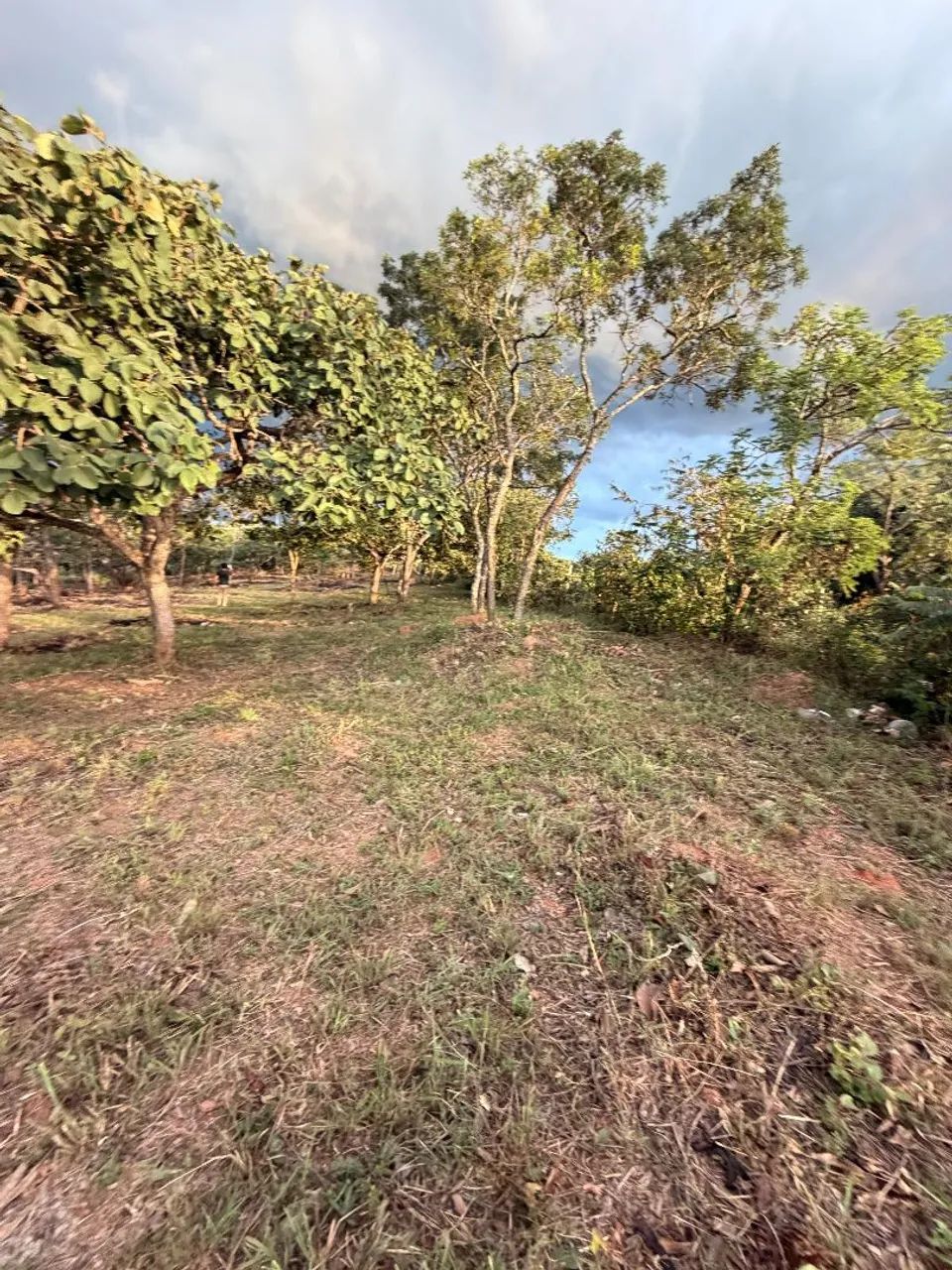 Terreno em mateus leme no asfalto 