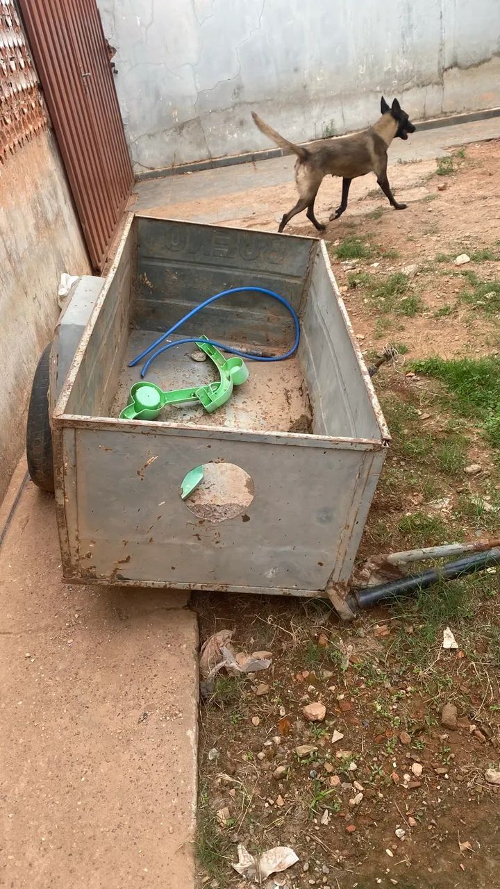 Carretinha para água e gás - Foto 3