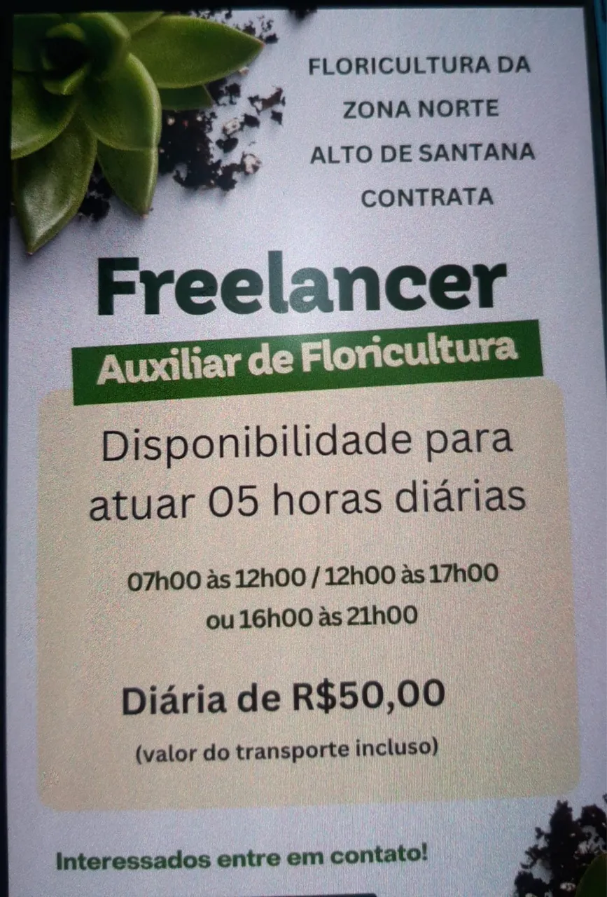Freelancer ZN SP