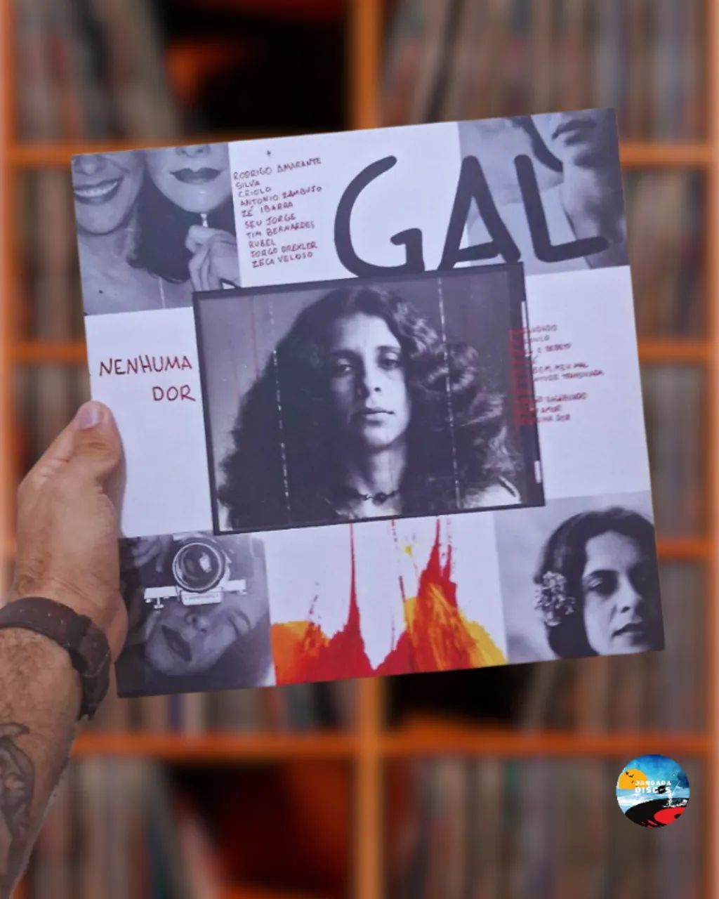 Vinil LP Gal Costa Nenhuma dor NOVO