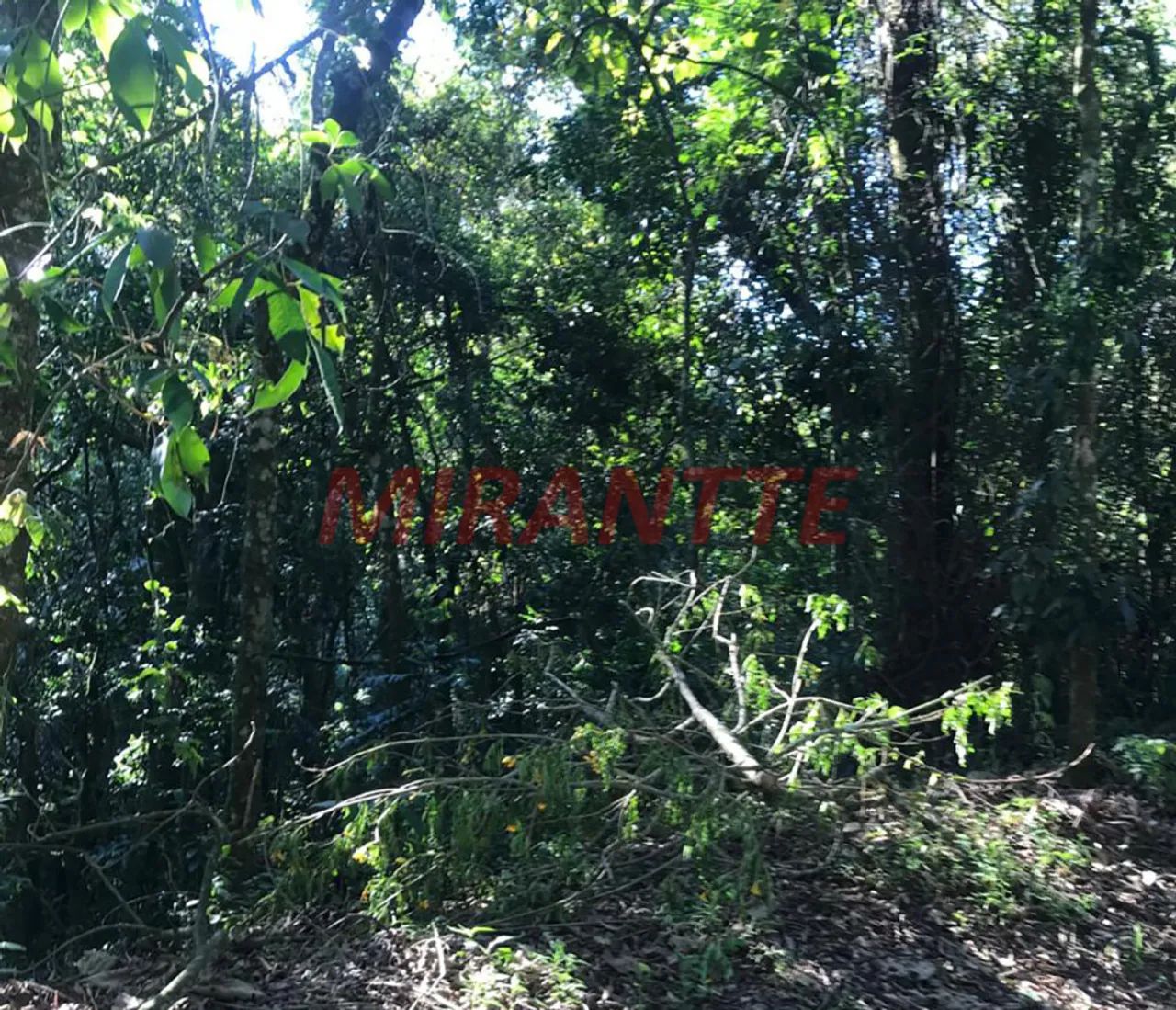 Terreno em Serra da Cantareira - Foto 3
