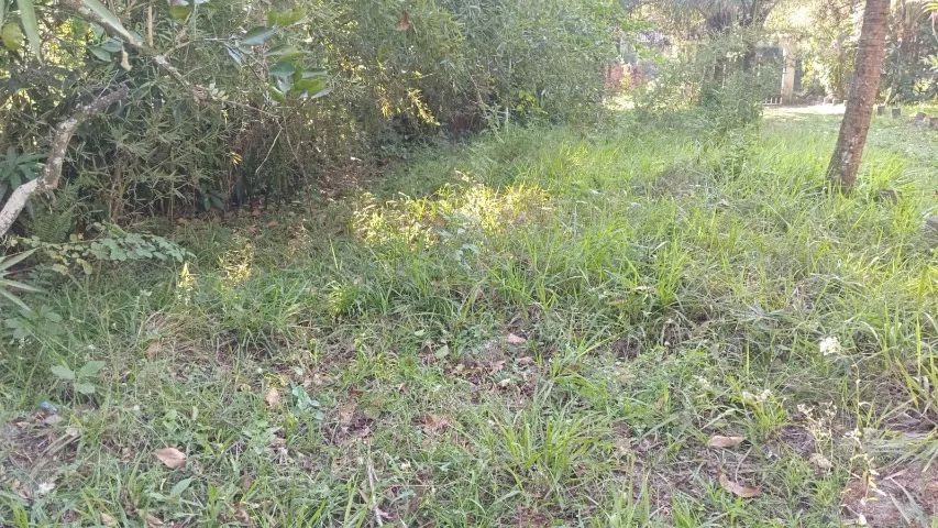 Terreno  100 m² - 5x20 - Foto 3