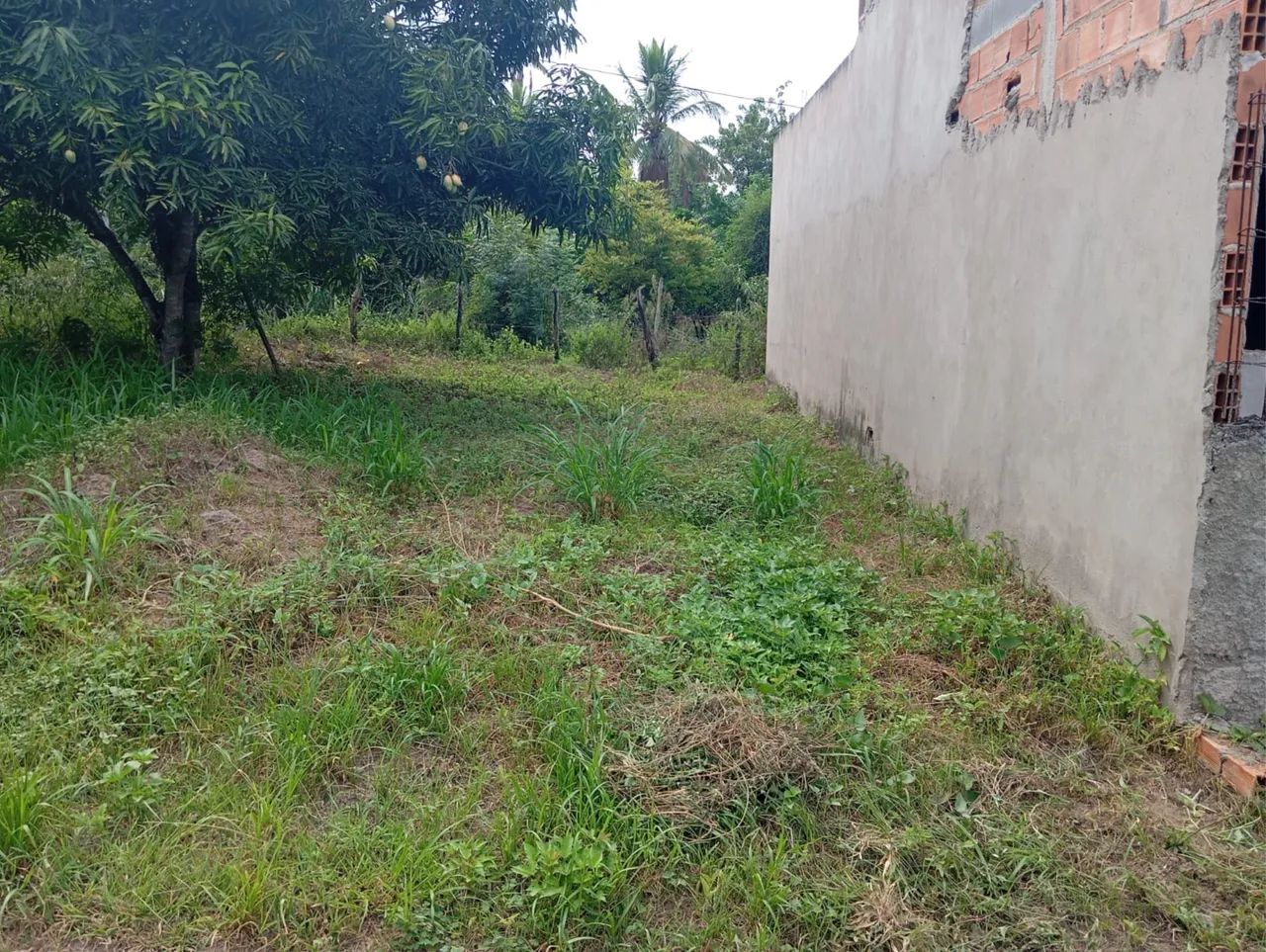 Casa em Contruçao; Próximo ao parque da cidade!
