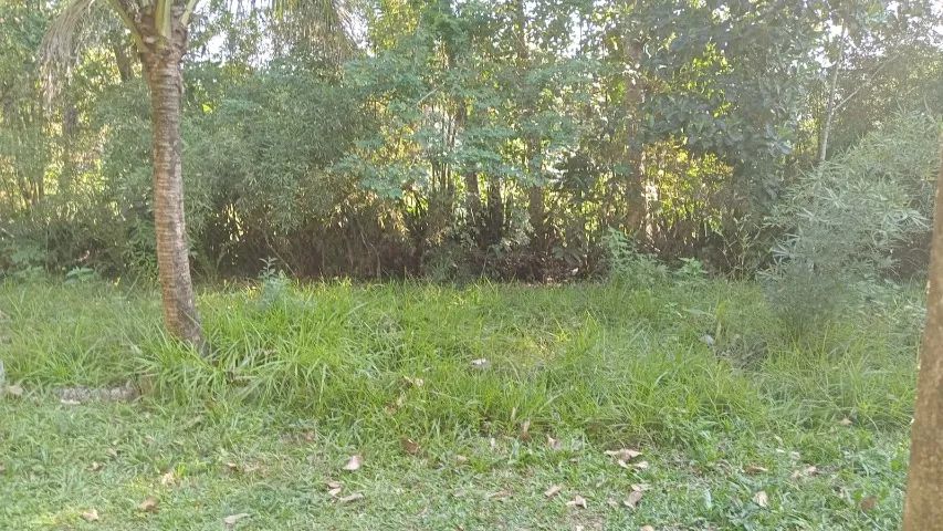 Terreno  100 m² - 5x20 - Foto 2