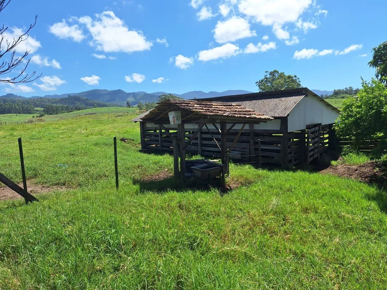 Sítio fazenda  - Foto 4
