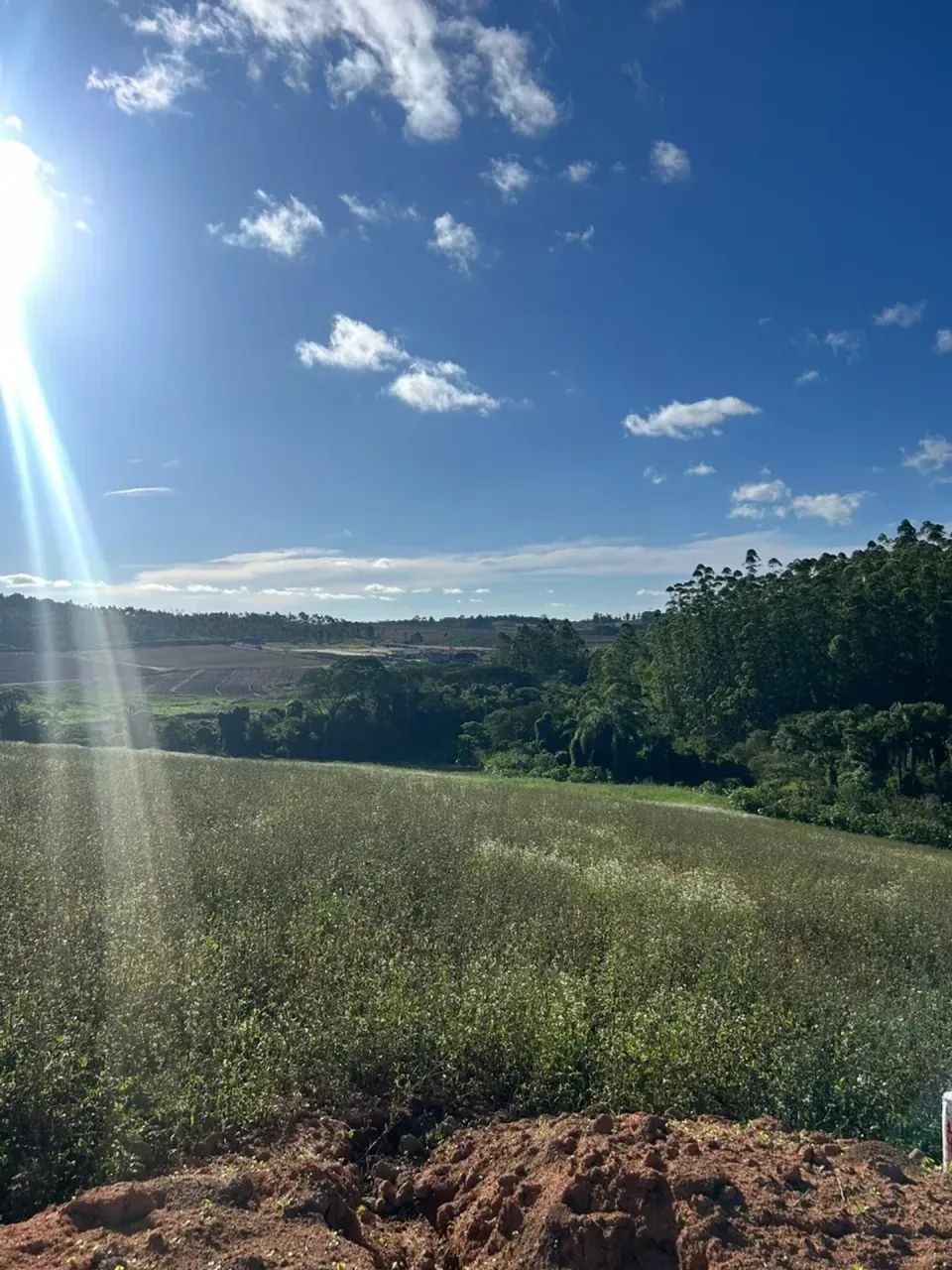 Construa com tranquilidade em Caucaia do Alto - Foto 3