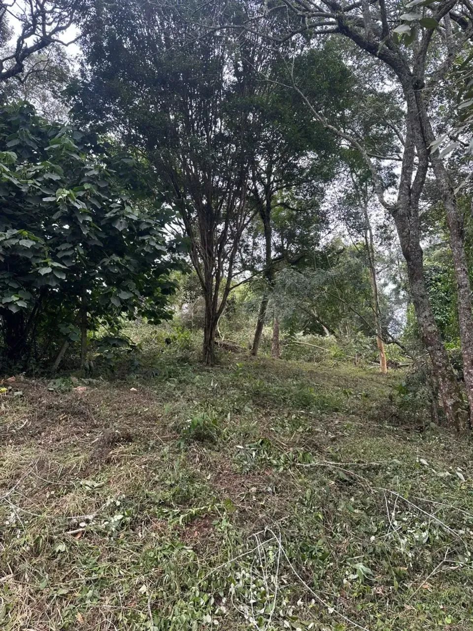 Lotes de 1000m com vista para Natureza, Lazer e Qualidade de Vida - Foto 2