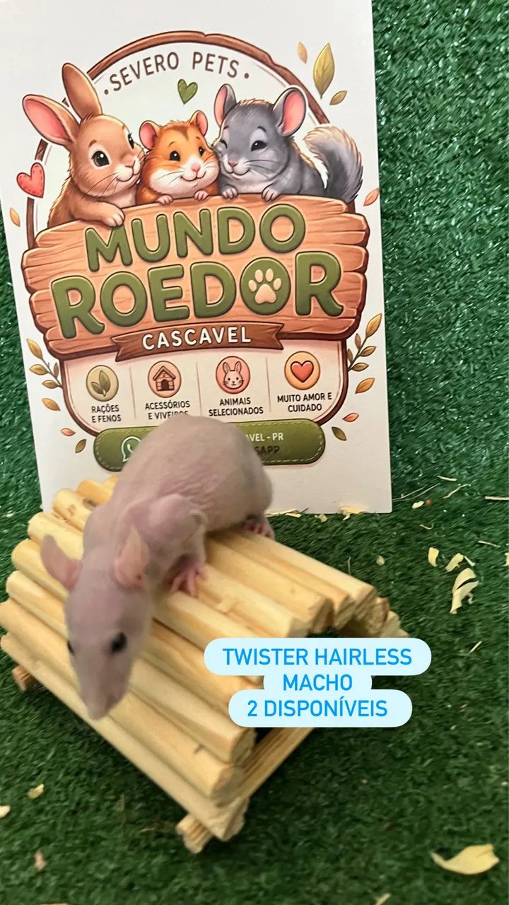 Rato Twister 