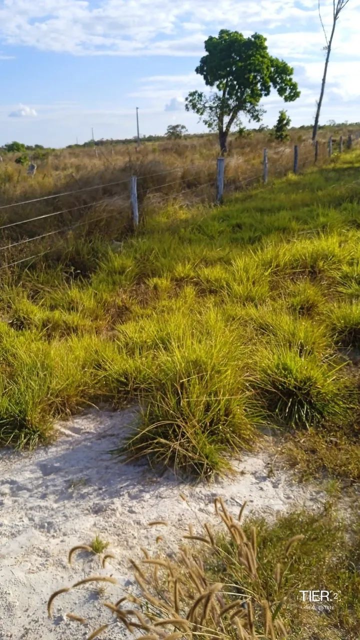 Fazenda em Novo Acordo - Foto 2