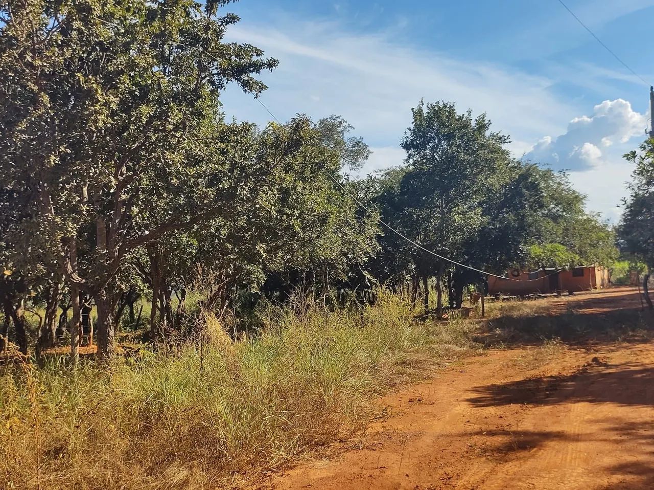 SÍTIO P.A BOA ESPERANÇA BURITIS MG - Foto 3