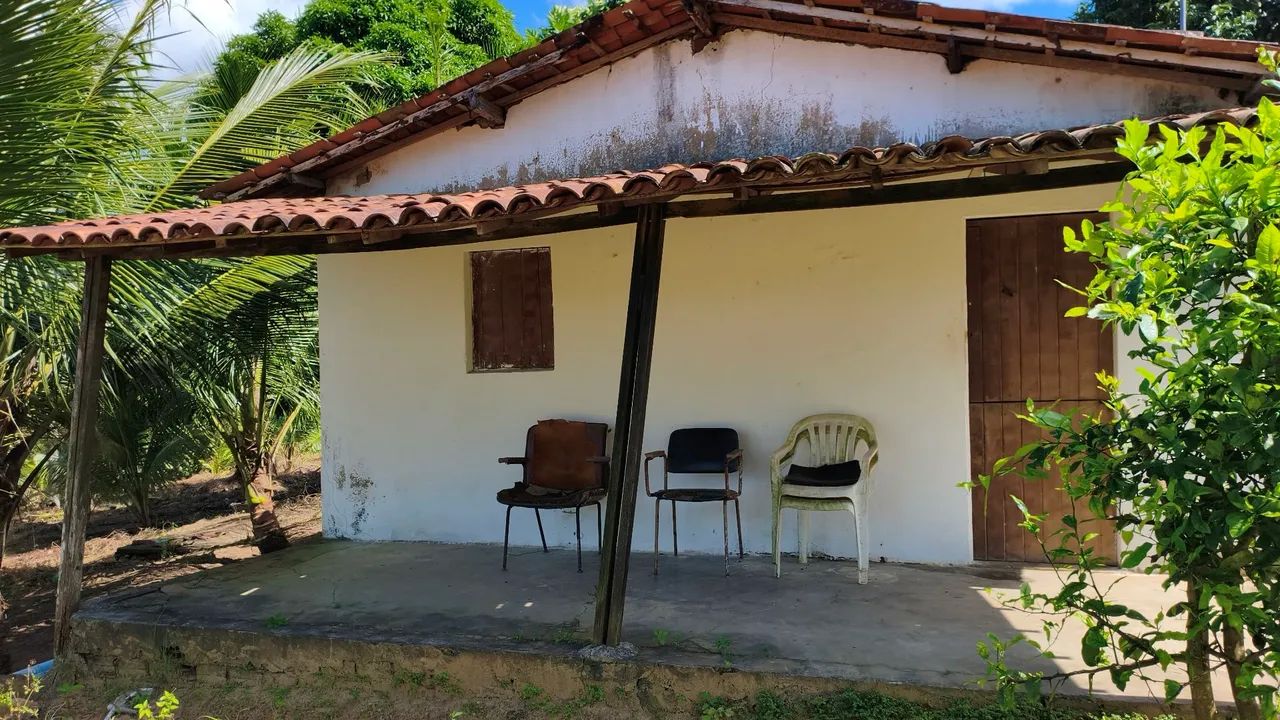 Excelente sítio no Condé  - Foto 5