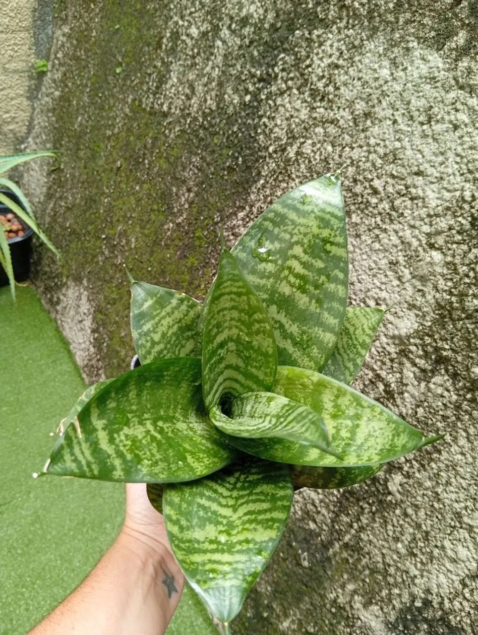 Mini espada de São jorge - Foto 2