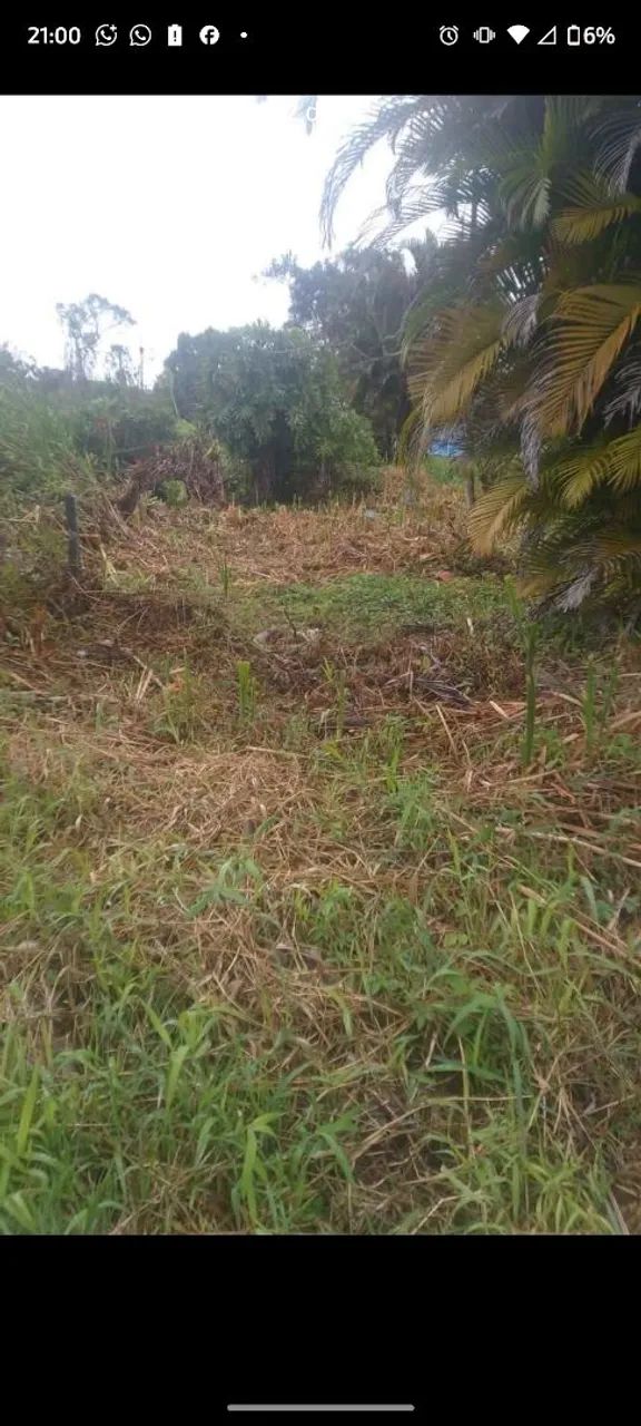 Terreno em Peruíbe  - Foto 2
